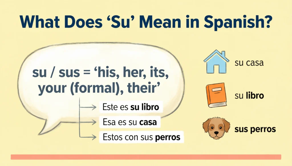 “SU” Mean in Spanish