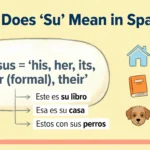 “SU” Mean in Spanish