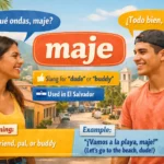 Maje Mean in Spanish