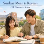 Sunbae Mean in Korean