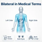 Bilateral Mean in Medical Terms
