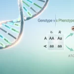 Genotype Mean in Biology